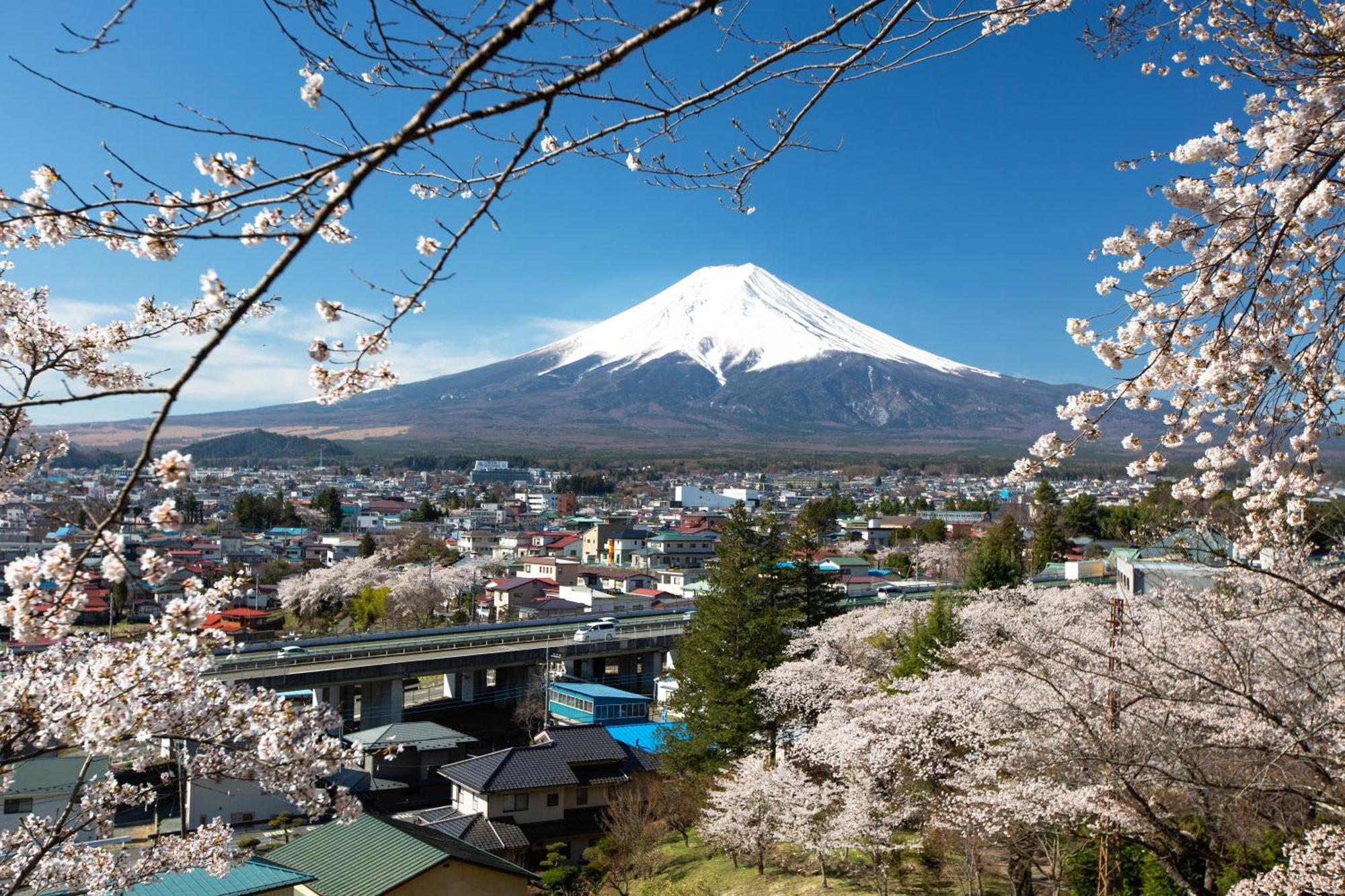 Sorapia Villa Mt.Fuji Front Fujikawaguchiko Zewnętrze zdjęcie